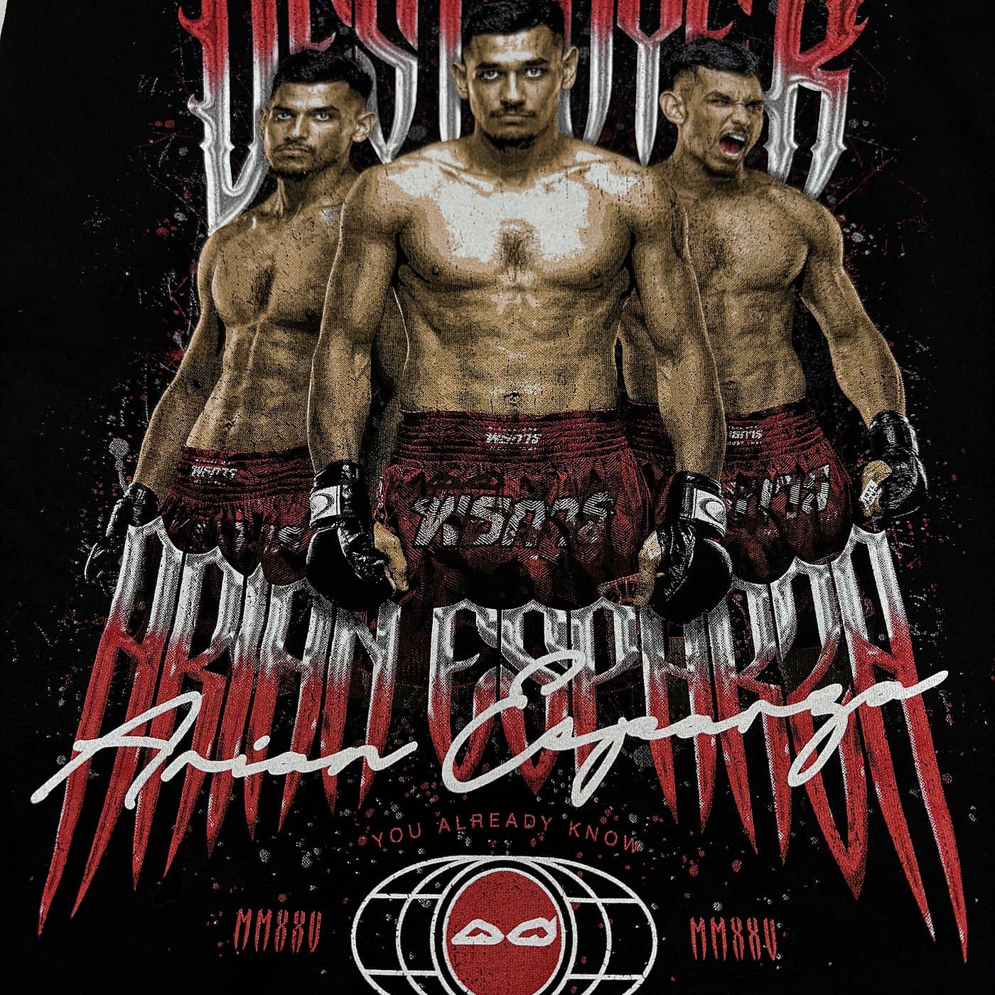 DSTROYER — Brian Esparza fighter tribute print